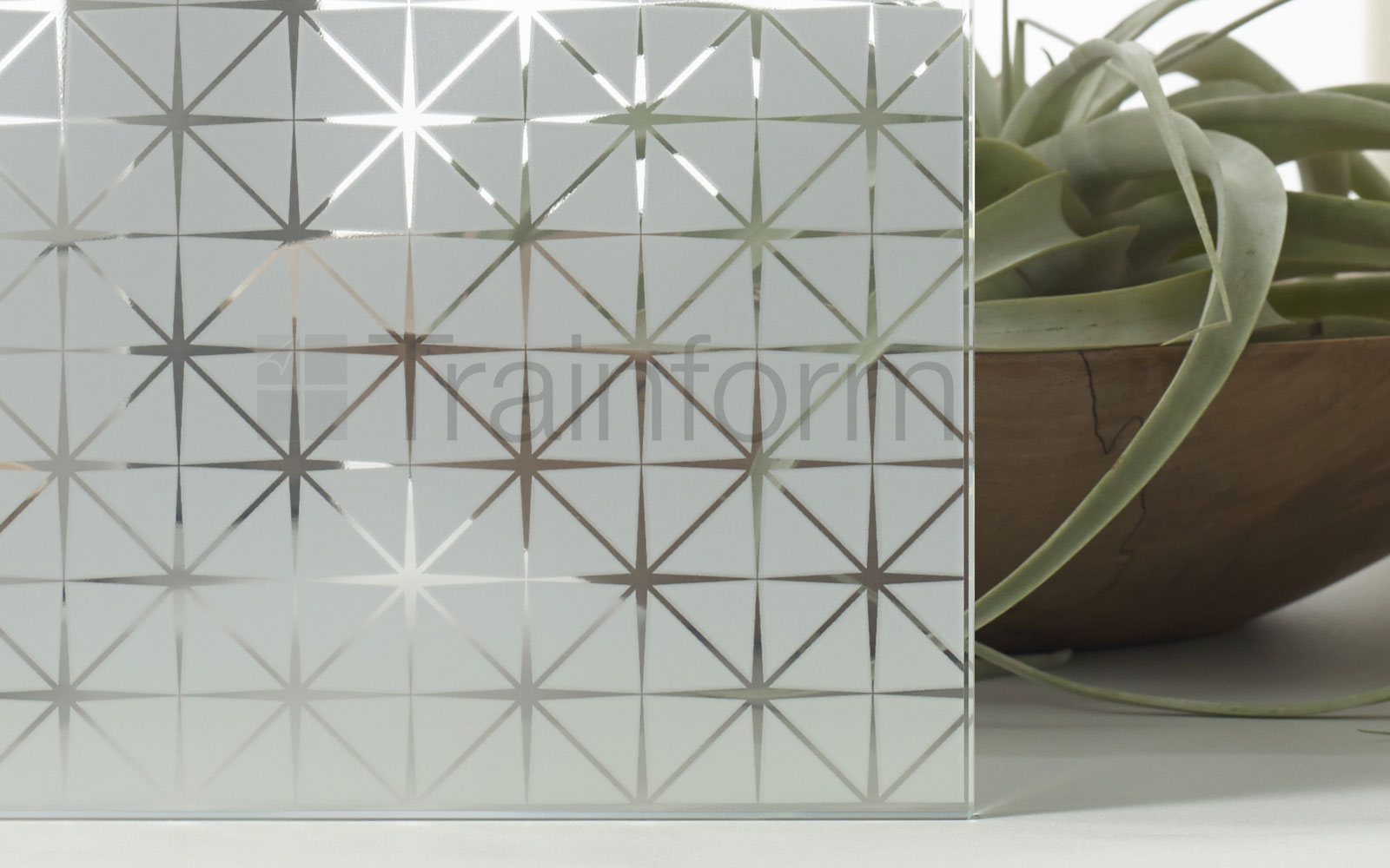 Pellicola privacy per vetri Astral Silver